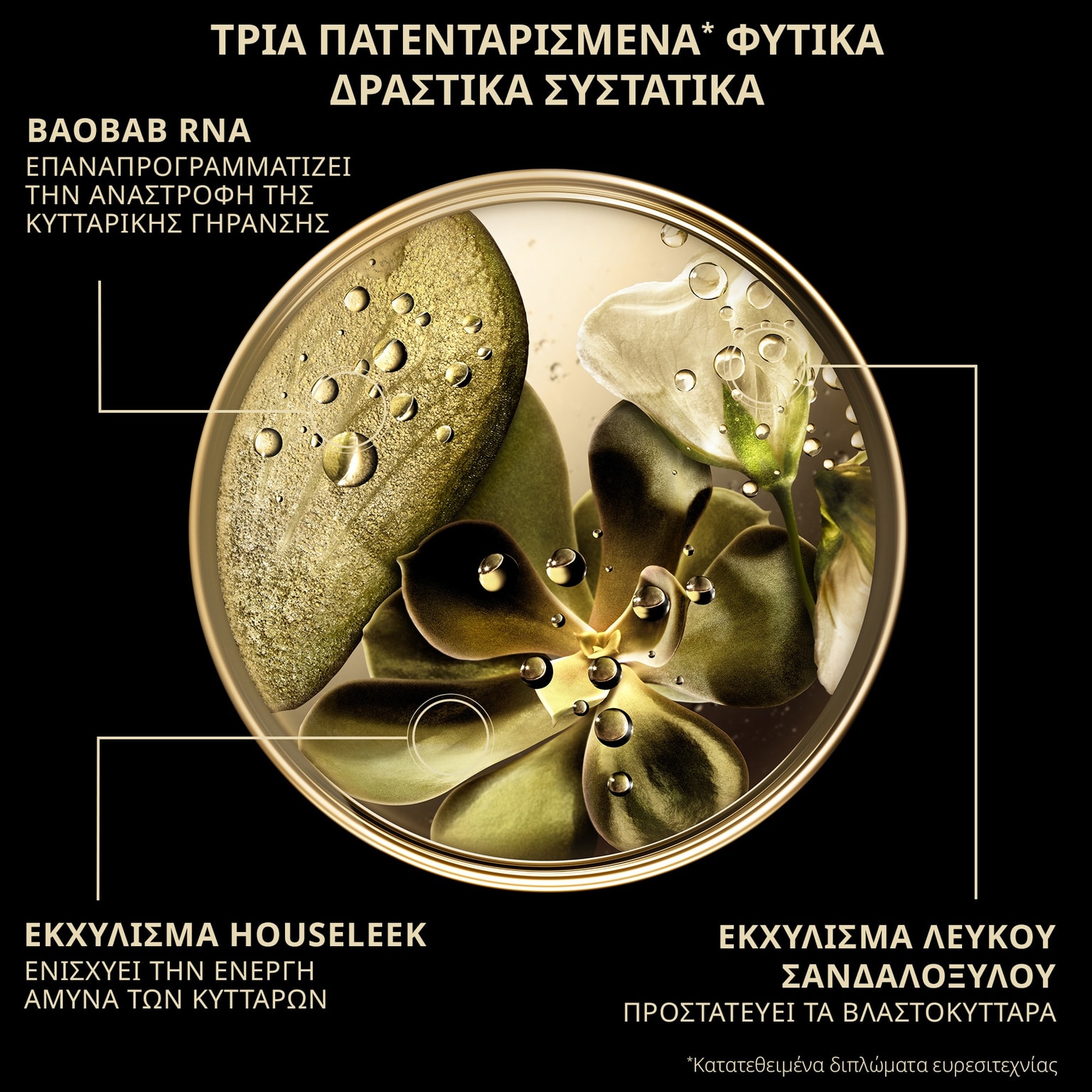 Premium Το Απόλυτο Serum